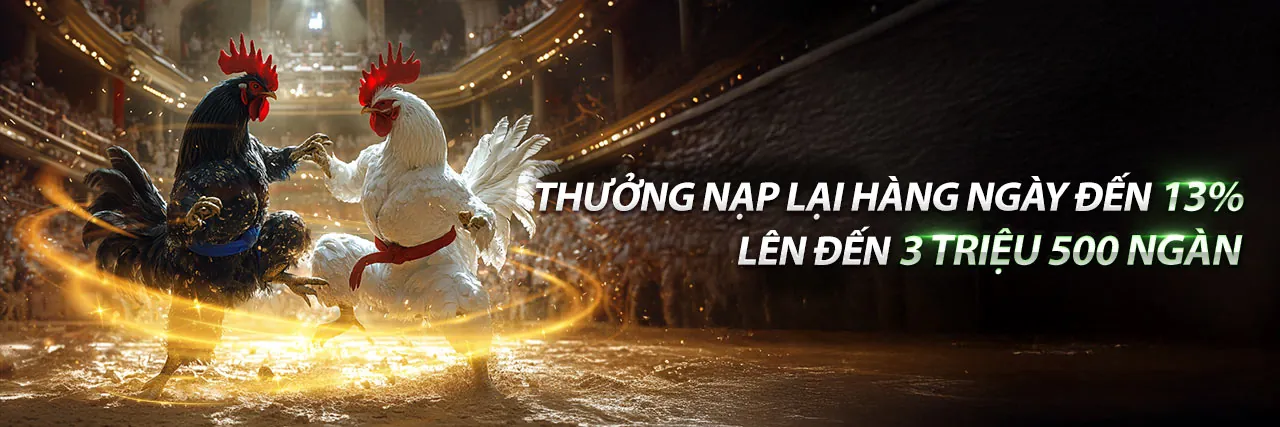 Đá Gà Trực Tiếp Ngày 2 tại WT88